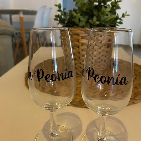 Apartamento Peonía